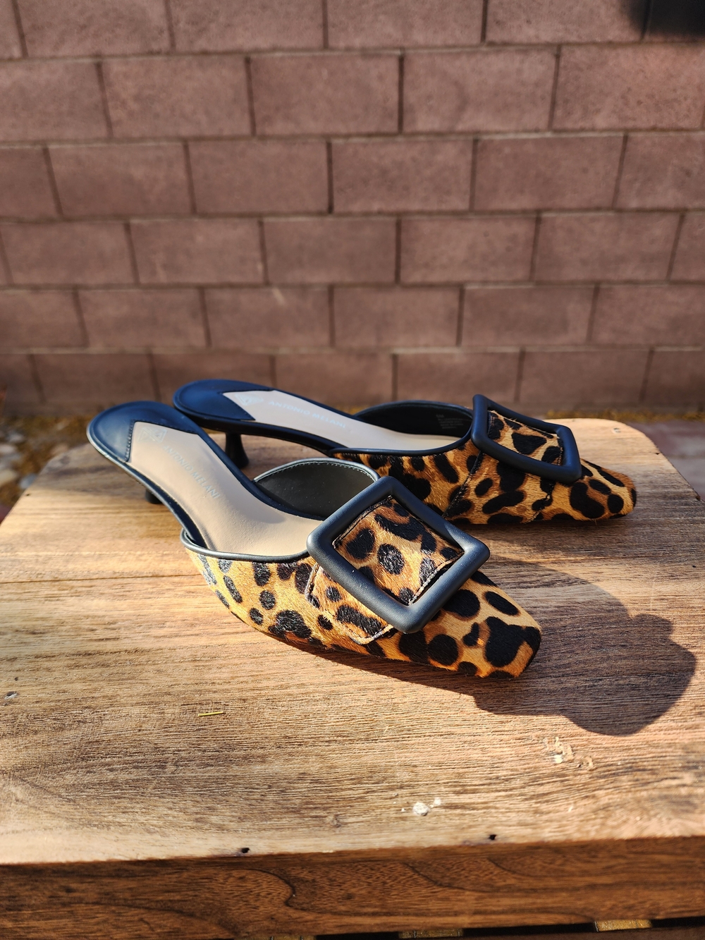 Antonio Melani Kendra Leopard Print Haircalf Buckle Ornament Dress Mules Size 6 - Picture 4 of 8